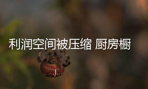 缩厨大批企业被责令整改