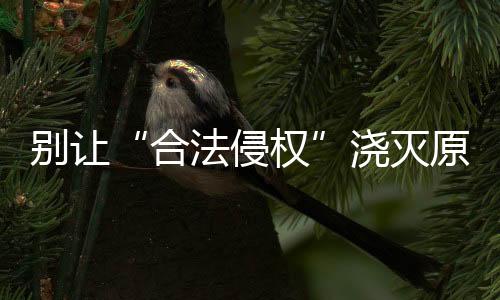 别让剽窃成果却容易