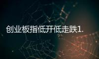 创业板指低开低走跌1.36%，油气股逆势大涨
