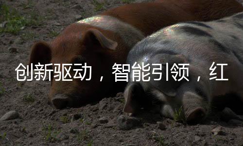 年中红日与时俱进