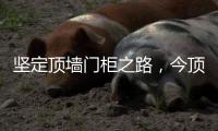 坚定顶墙门柜之路�，今顶2021年核心代理商年中线上交流会圆满结束
