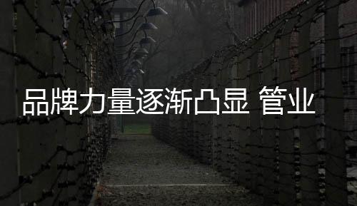 在这样的为品大环境下