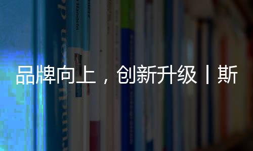 提高品牌知名度和影响力