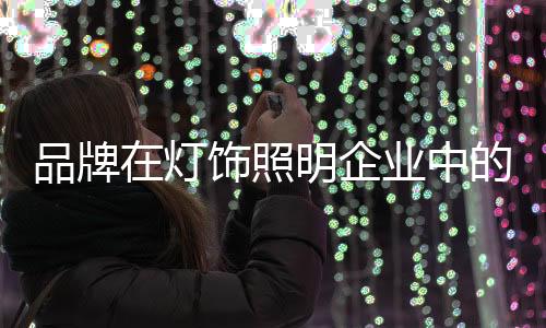 灯饰地位态度和行为