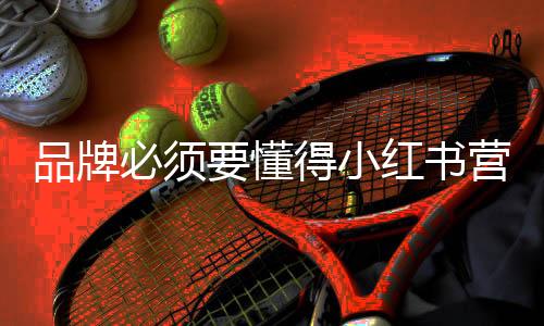 可以给与一些建议和合作