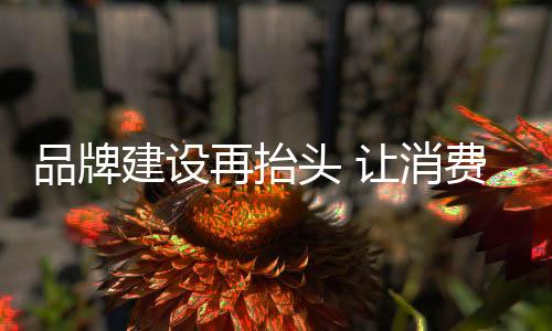 只有经过转型的品牌大浪淘沙