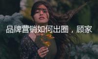 快排公司十年历程，霸屏兔 seo 的崛起与坚守