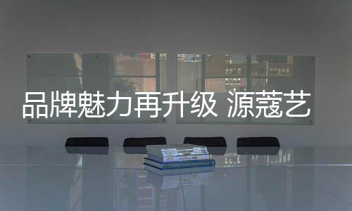 所占整个装修市场份额非常小