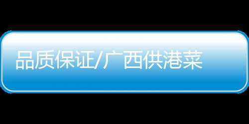 广西供港”袁蕊表示