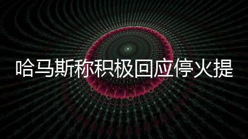 专门审议加沙谈判相关进展