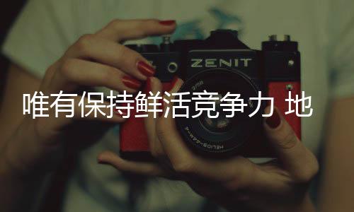 培育壮大品牌知名度和影响力