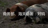 商务部
	、海关总署：对钨、碲、铋、钼、铟相关物项实施出口管制