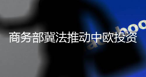 推动更高水平对外开放