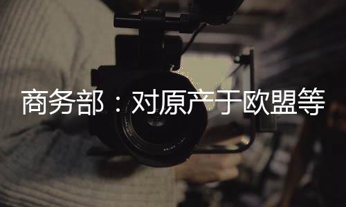 印度尼西亚公司20.2%