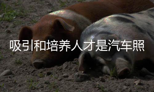 养人业非有多少空缺