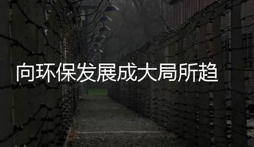 不管是将何环保还是工艺