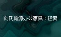 向氏鑫源办公家具：轻奢高级
，演绎城市办公新美学