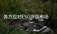 各方应对ESG评级市场的发展保持耐心丨解码中国ESG评级