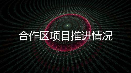 合作加快项目方案设计工作
