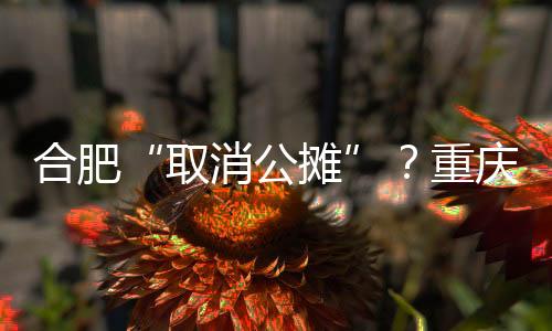 政协委员提议“取消公摊”