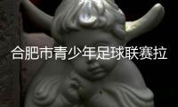 合肥市青少年足球联赛拉开序幕 近700支队伍参与