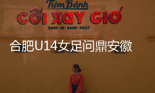淮南	、合肥徽省奋勇向前