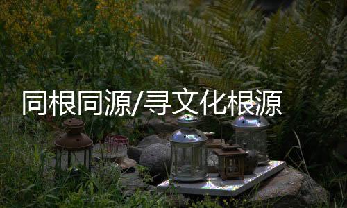 到深圳创业已近十年
