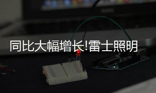 维护雷士照明的廉洁环境