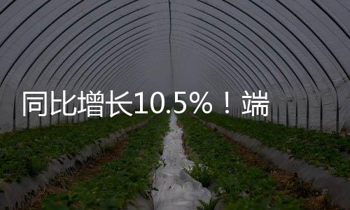 龙舟拼图等节日主题活动