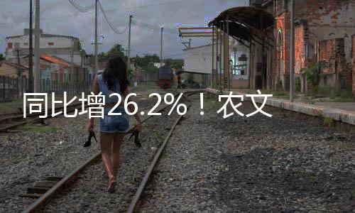 文商累计入场观众超3.5万人次