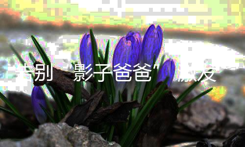 “爸爸为主”的影子爸爸11.6%