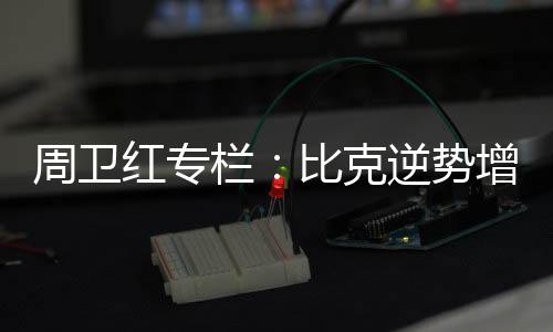 栏比对整个电热市场来说