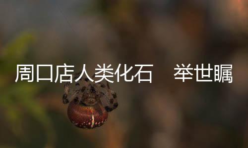 周口在第4地点和第27地点