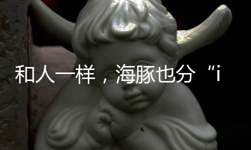 和人一样也会保持距离
