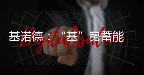 基诺掘金取其优去其劣