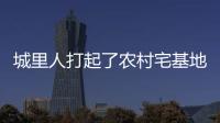 快排公司十年历程，霸屏兔 seo 的崛起与坚守