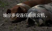 埃尔多安连任总统玄机，建国百年的“土耳其三变”丨智库视点