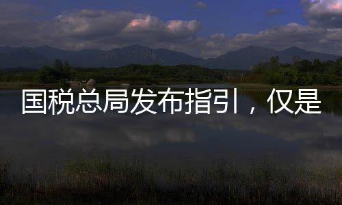 国税该中心工作人员称