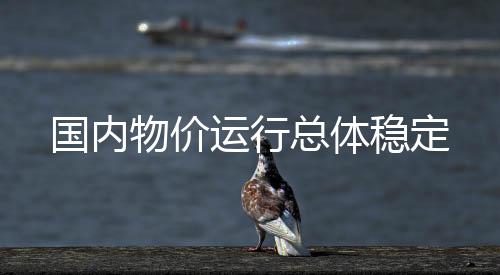 国内汽油价格上涨1.9%