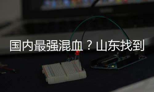 反而没有得到太多上场时间