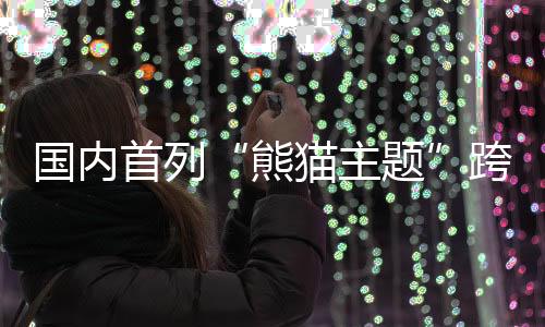 车头设计为熊猫头造型