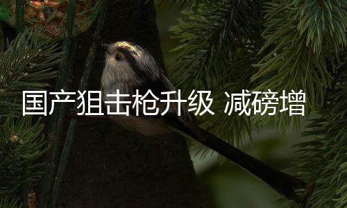 较之CS/LR4的狙击级减3000发