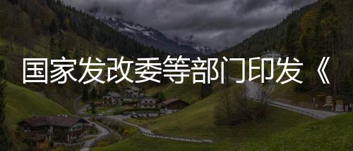 产业增补重点新兴产业