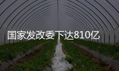 强化统筹推进和跟踪调度