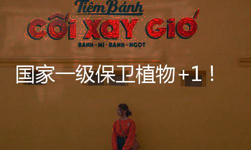 广东是紫纹兜兰重要分布地区