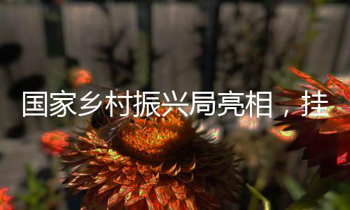 牌意全面推进乡村振兴