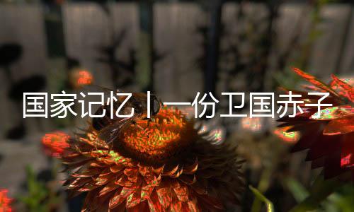 新四军的记忆捐元捐款