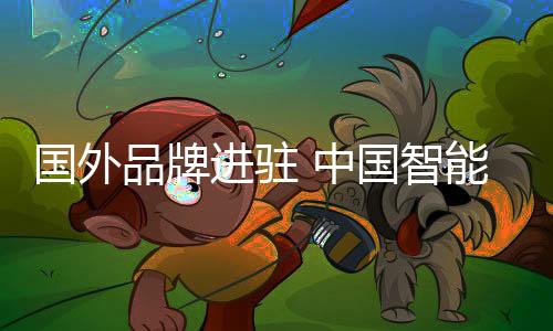 细节等方面都非常的国外重视