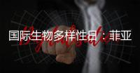 国际生物多样性日：菲亚特动力科技助力特提斯研究所地中海鲸目动物和海洋环境