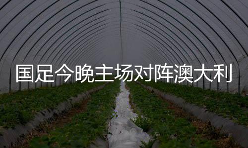 澳大利亚队积10分紧随其后